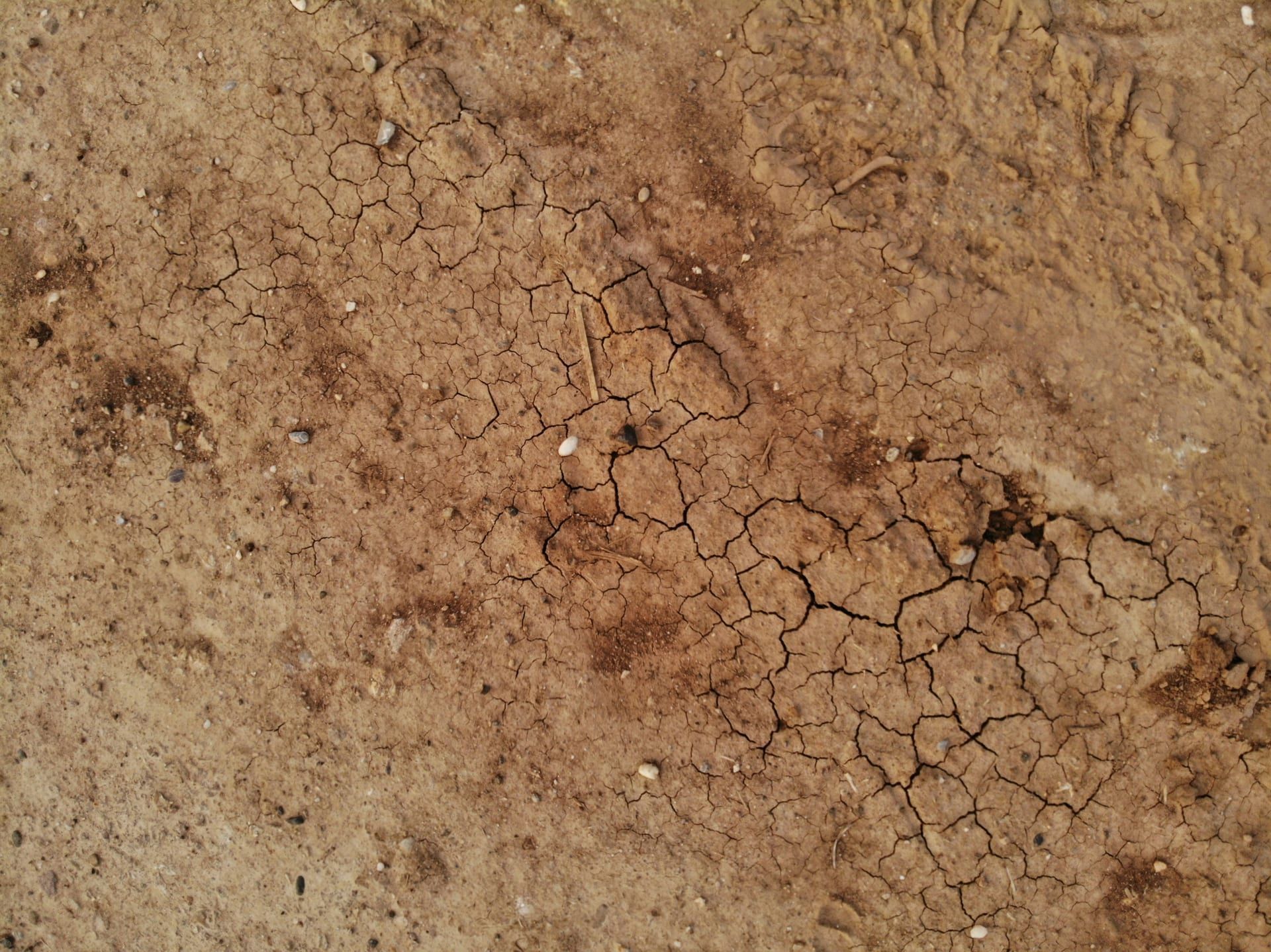 Clay-heavy Highland Rim soil typical of the Upper Cumberland